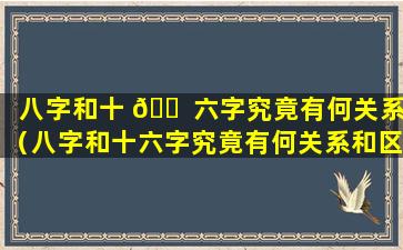 八字和十 🐠 六字究竟有何关系（八字和十六字究竟有何关系和区别）